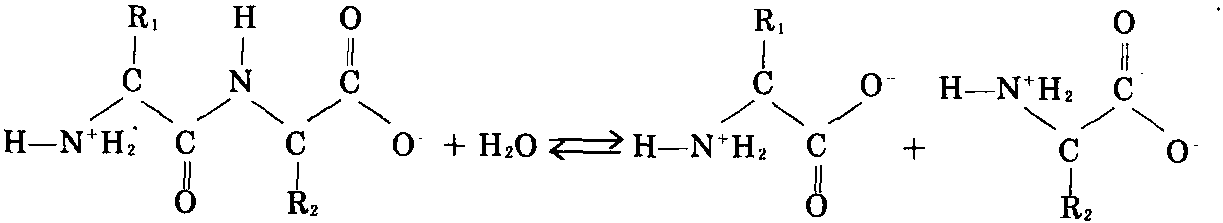 3.4蛋白酶